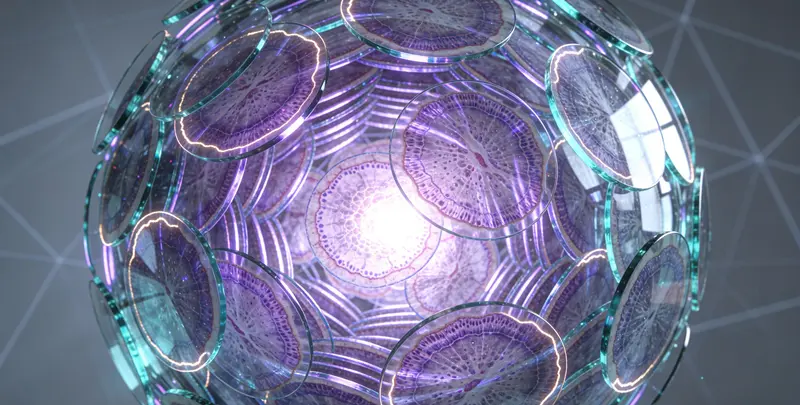 肿瘤全外显子测序及PDL122C3表达检测套餐（组织）图4